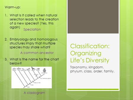 Classification: Organizing Life’s Diversity Taxonomy, kingdom, phylum, class, order, family. Warm-up: 1.What is it called when natural selection leads.