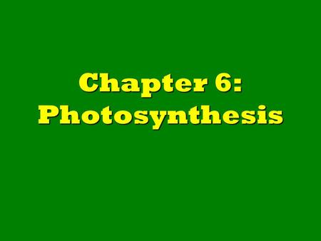 Chapter 6: Photosynthesis. 6-1: Capturing the Energy in Light.