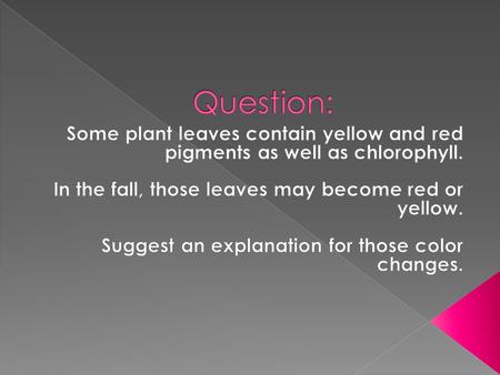  The chlorophyll may be broken down by the cooling temperatures or the changing light, so the green color disappears.  A leaf then shows the color.