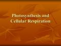 Photosynthesis and Cellular Respiration. adenosine diphosphate What does “ADP” stand for? _________________________________.