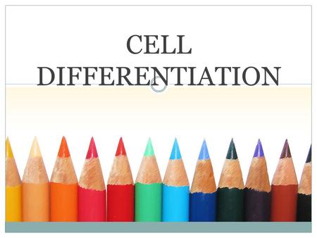 CELL DIFFERENTIATION.