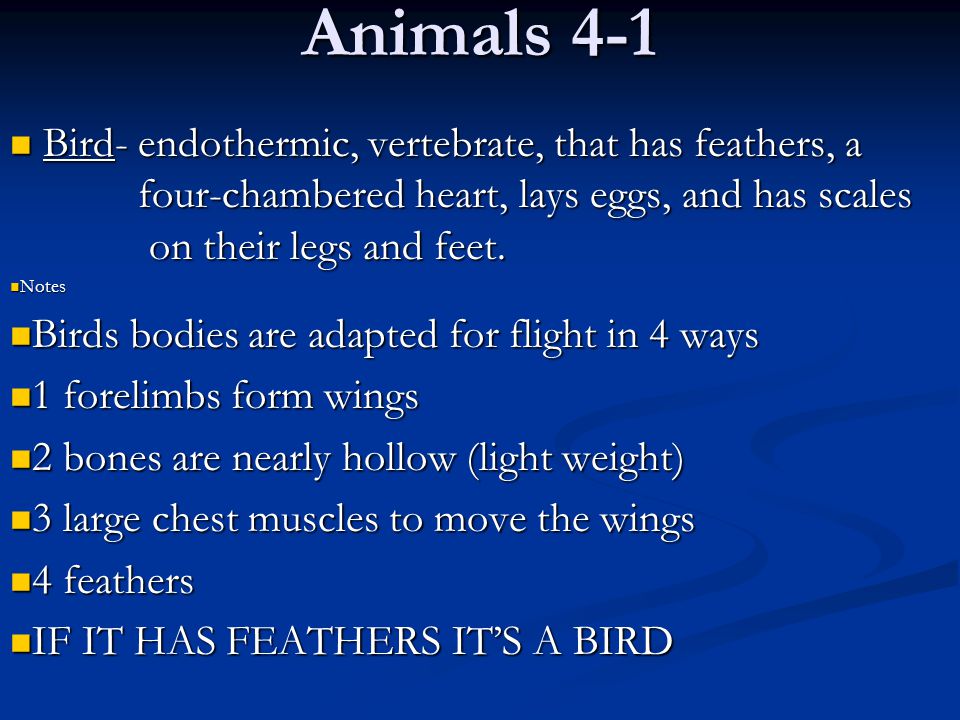 Animals 4-1 Bird- endothermic, vertebrate, that has feathers, a four-chambered  heart, lays eggs, and has scales on their legs and feet. Notes. - ppt video  online download