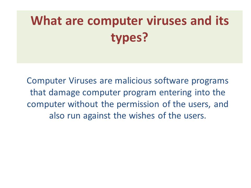 computer virus and types