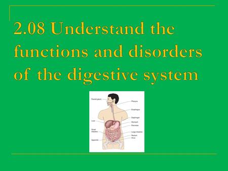 Understand the functions of the digestive system 2.08 Understand the functions and disorders of the digestive system2.