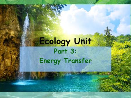 Ecology Unit Part 3: Energy Transfer. All organism need energy to carry out essential functions –For example: growth, movement, maintenance & repair,