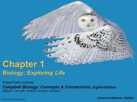 PowerPoint Lectures Campbell Biology: Concepts & Connections, Eighth Edition REECE TAYLOR SIMON DICKEY HOGAN Chapter 1 Lecture by Edward J. Zalisko Biology: