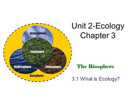 Interdependence In The Ocean - Ppt Download