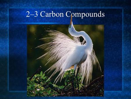 2–3 Carbon Compounds. The Chemistry of Carbon Organic chemistry is the study of all compounds that contain carbon atoms and hydrogen. Carbon atoms have.