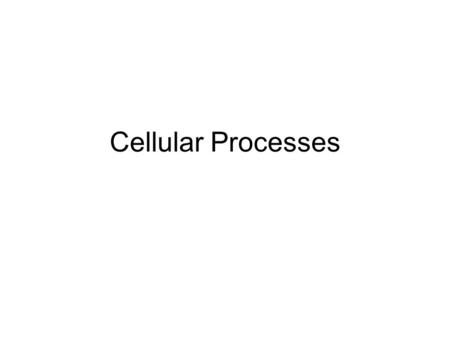 Cellular Processes. Cellular Respiration The process by which the mitochondria take in oxygen to break down glucose (food) to produce energy (ATP), CO.