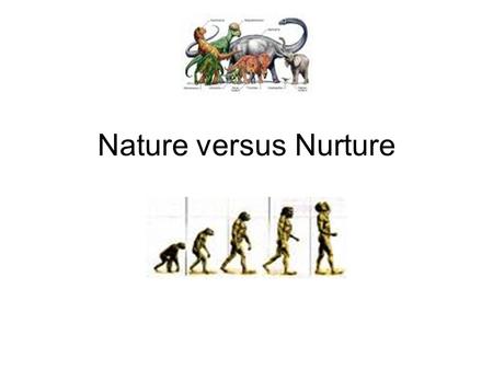 Nature versus Nurture. Nature People behave the way they do because they are animals who act in accordance with their animal instincts and are determined.