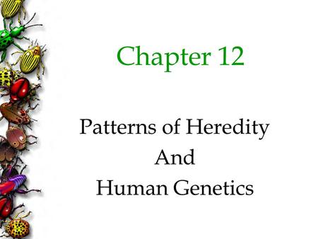 Chapter 12 Patterns of Heredity And Human Genetics.