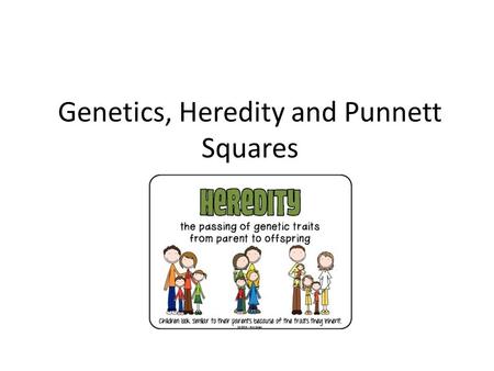 Genetics, Heredity and Punnett Squares. Why / How do populations change over time? GENES! Genetics is the science of heredity (the passing on of genetic.