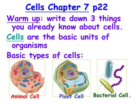 1 Cells Chapter 7 p22 Warm up: write down 3 things you already know about cells. CellsCells are the basic units of organisms Basic types of cells: Animal.
