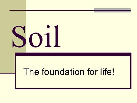 Soil The foundation for life!. How much soil is there?