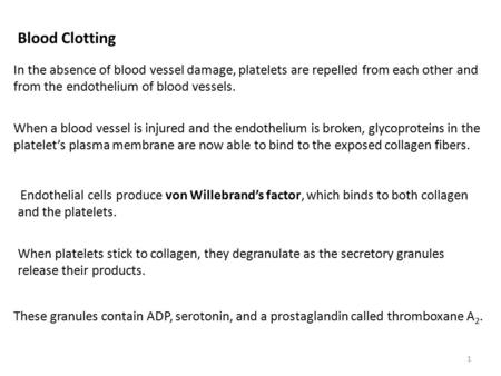 Blood Clotting In the absence of blood vessel damage, platelets are repelled from each other and from the endothelium of blood vessels. When a blood vessel.