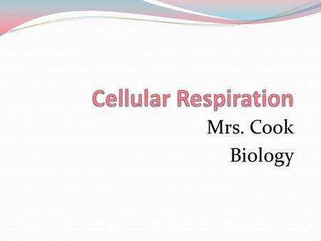 Mrs. Cook Biology. What is Cellular Respiration? The molecule of glucose that is produced by photosynthesis in plants will be used by plants and animals.