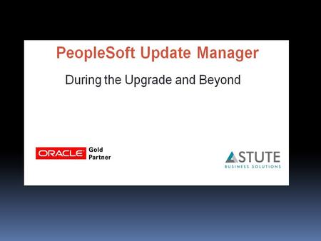 Founded by Big Five Consulting ex-employees Oracle Gold Partner Focus on PeopleSoft 15 years of PeopleSoft experience Worked in both technical and functional.