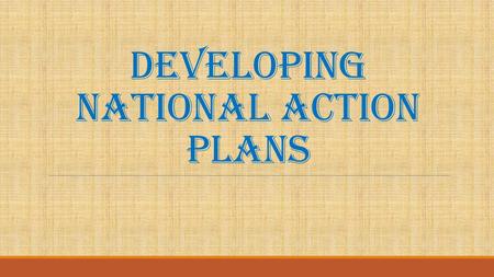 DEVELOPING NATIONAL ACTION PLANS. Two main components 1) Plan to implement the AGDI 2) Plan to use the AGDI report to influence national development strategies.