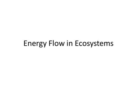 Energy Flow in Ecosystems. Vocabulary Producer-An organism that can make its own food. Consumer-An organism that obtains energy by feeding on other organisms.