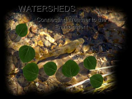 WATERSHEDS Produced by the COMET ® Program in partnership with the National Environmental Education Foundation Connecting Weather to the Environment.