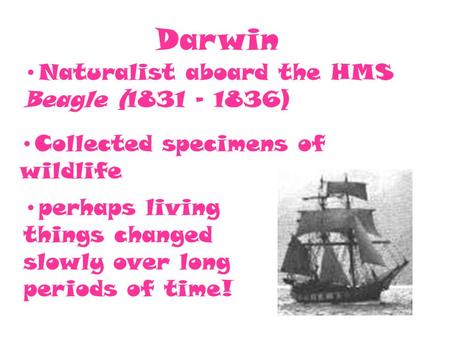 Darwin Naturalist aboard the HMS Beagle (1831 – 1836) Collected specimens of wildlife perhaps living things changed slowly over long periods of time!