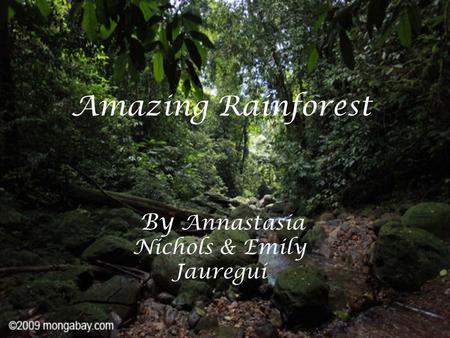 Amazing Rainforest By Annastasia Nichols & Emily Jauregui.