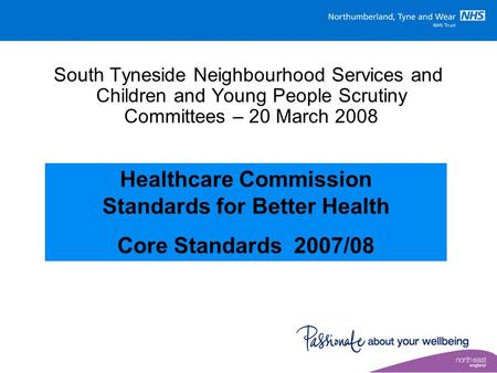 South Tyneside Neighbourhood Services and Children and Young People Scrutiny Committees – 20 March 2008 Healthcare Commission Standards for Better Health.