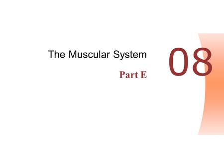 The Muscular System Part E