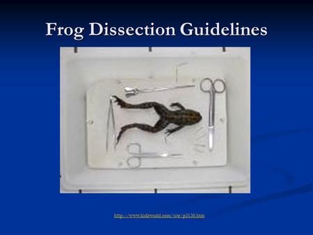 Frog Dissection Guidelines