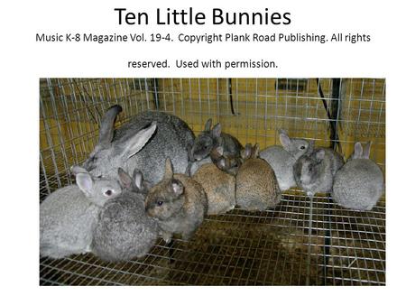 Ten Little Bunnies Music K-8 Magazine Vol. 19-4. Copyright Plank Road Publishing. All rights reserved. Used with permission.