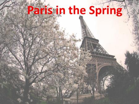 Paris in the Spring. Wednesday 18 th April – Friday 20 th April 2012.