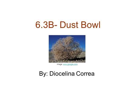 6.3B- Dust Bowl By: Diocelina Correa image: www.google.comwww.google.com.