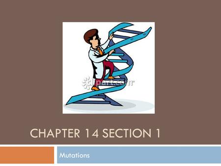 CHAPTER 14 SECTION 1 Mutations. Are mutations good or bad?  Some mutations lead to genetic disorders  Some mutations may cause a beneficial trait 
