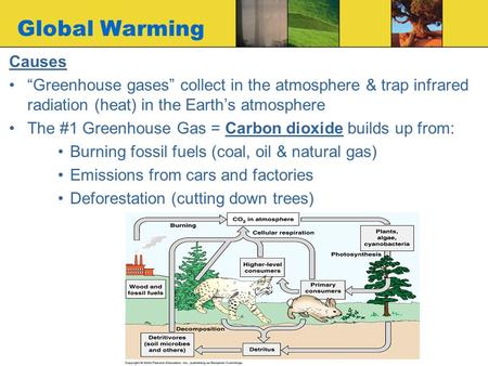 Global Warming Causes “Greenhouse gases” collect in the atmosphere & trap infrared radiation (heat) in the Earth’s atmosphere The #1 Greenhouse Gas = Carbon.