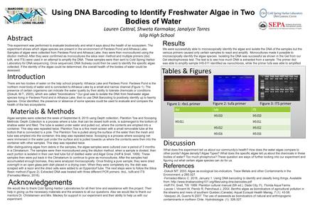 Using DNA Barcoding to Identify Freshwater Algae in Two Bodies of Water Lauren Cottral, Shweta Karmakar, Janalyce Torres Islip High School Results We were.