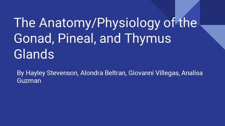 The Anatomy/Physiology of the Gonad, Pineal, and Thymus Glands