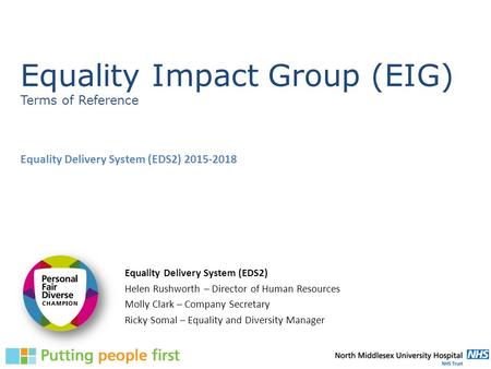 Equality Impact Group (EIG) Terms of Reference Equality Delivery System (EDS2) 2015-2018 Equality Delivery System (EDS2) Helen Rushworth – Director of.