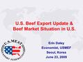 U.S. Beef Export Update & Beef Market Situation in U.S. Erin Daley Economist, USMEF Seoul, Korea June 23, 2009.