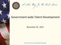 Government-wide Talent Development November 20, 2014.