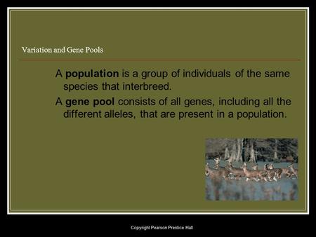 Copyright Pearson Prentice Hall Variation and Gene Pools A population is a group of individuals of the same species that interbreed. A gene pool consists.