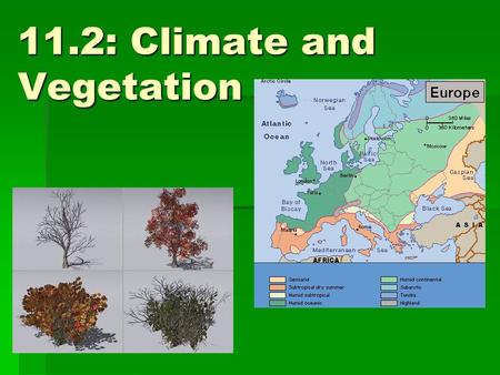 11.2: Climate and Vegetation. Factors that affect climate:  Wind  Latitude  Mountain barriers  Ocean currents  Distance from large bodies of water.