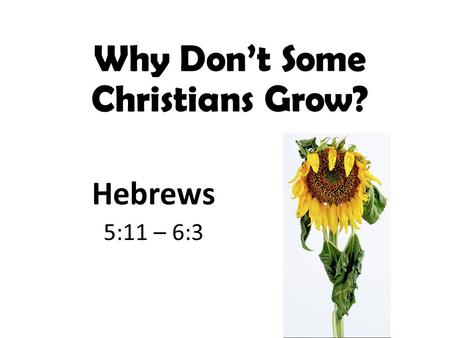 Why Don’t Some Christians Grow? Hebrews 5:11 – 6:3.
