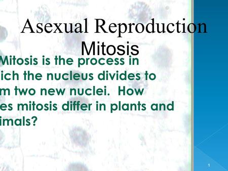 1 1 Asexual Reproduction Mitosis EQ: Mitosis is the process in which the nucleus divides to form two new nuclei. How does mitosis differ in plants and.