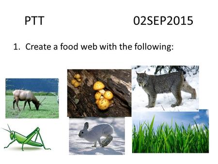 PTT 02SEP2015 1.Create a food web with the following: