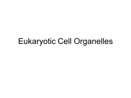 Eukaryotic Cell Organelles. Lesson Objectives Identify the structure and function of the parts of a typical eukaryotic cell. Compare and contrast structures.