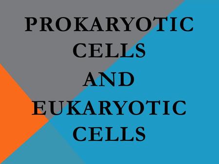 PROKARYOTIC CELLS AND EUKARYOTIC CELLS. WHAT IS A CELL? It took a long time for people to discover cells and figure out what they were all about. They.