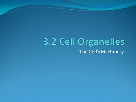 The Cell’s Machinery. Main Idea Eukaryotic cells have specialized internal structures called organelles that are surrounded by a membrane (membrane bound)