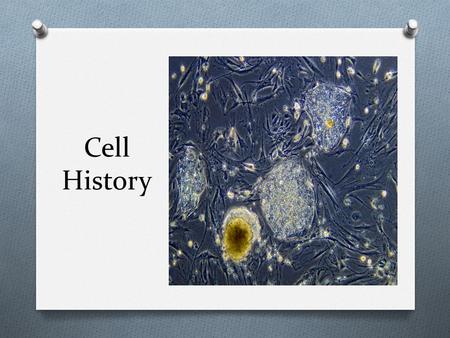 Cell History. History of the Cell O Robert Hooke: Discovered cells O 1665 –Made a simple microscope and looked at a piece of cork (dead cells of oak bark)