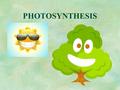 PHOTOSYNTHESIS. Autotrophic Process: Plants and other photosynthetic organisms create their own energy (glucose) from sunlight. Energy is stored as carbohydrates.