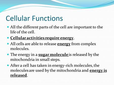 Cellular Functions All the different parts of the cell are important to the life of the cell. Cellular activities require energy. All cells are able to.